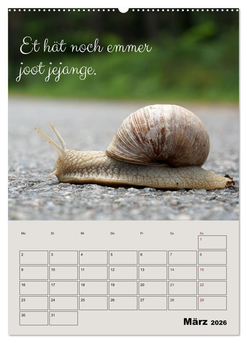 Kölsches Grundgesetz (CALVENDO Premium Wandkalender 2026)