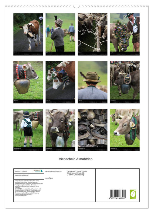 Viehscheid Almabtrieb (CALVENDO Premium Wandkalender 2026)
