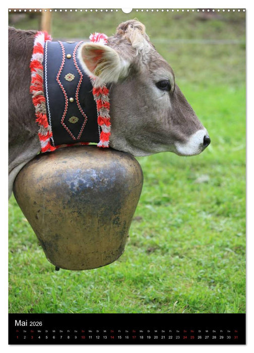 Viehscheid Almabtrieb (CALVENDO Premium Wandkalender 2026)