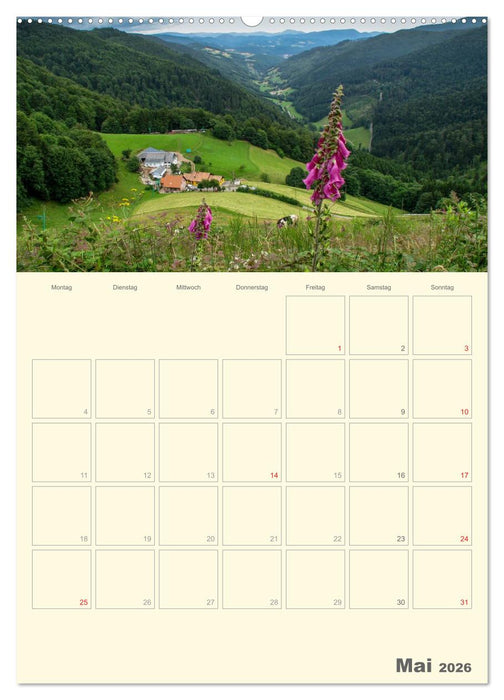 Unterwegs im Elsass – Terminplaner (CALVENDO Wandkalender 2026)