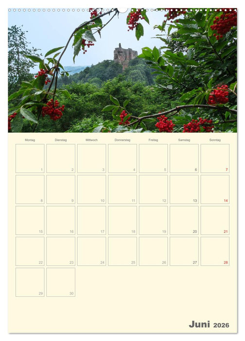 Unterwegs im Elsass – Terminplaner (CALVENDO Wandkalender 2026)