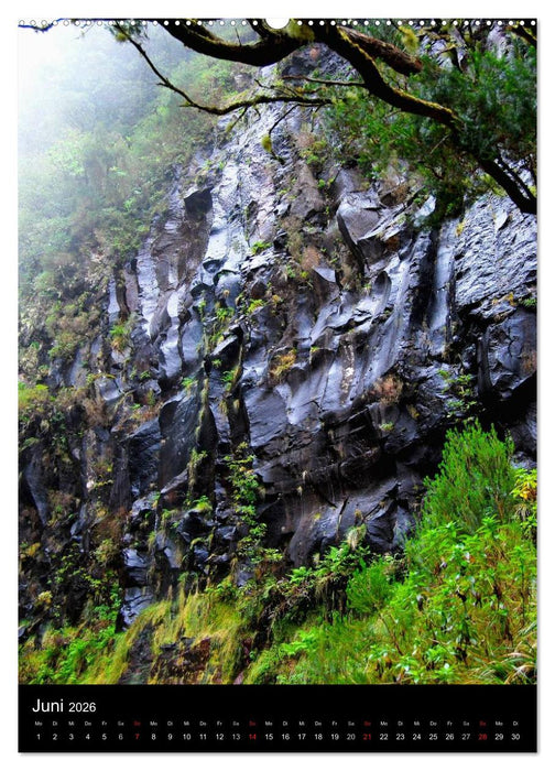 MADEIRA (CALVENDO Wandkalender 2026)