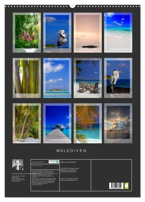 M A L E D I V E N (CALVENDO Wandkalender 2026)