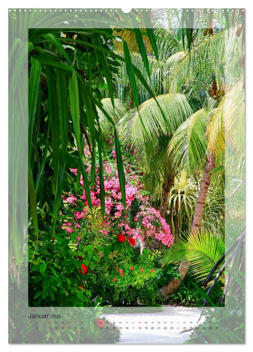 M A L E D I V E N (CALVENDO Wandkalender 2026)