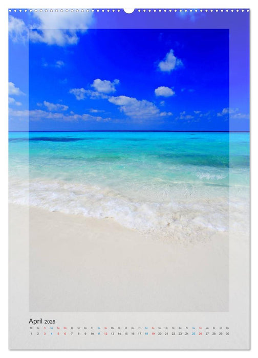M A L E D I V E N (CALVENDO Wandkalender 2026)