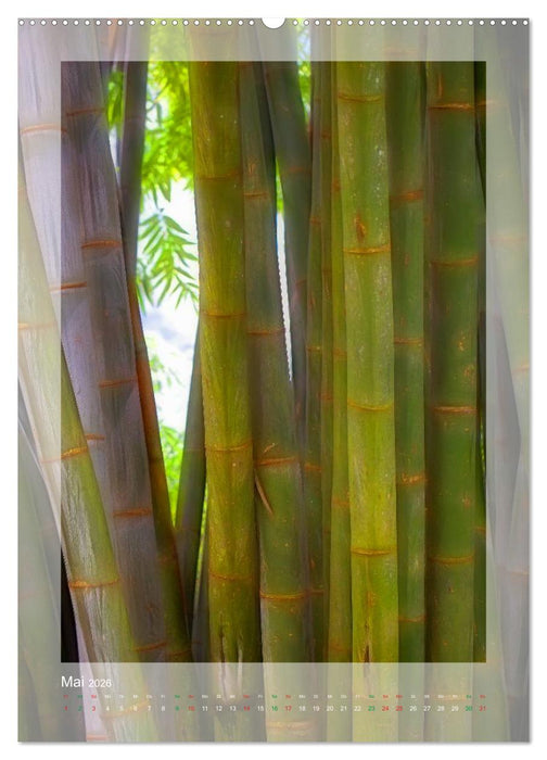 M A L E D I V E N (CALVENDO Wandkalender 2026)