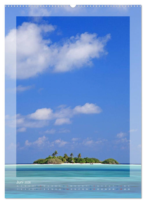 M A L E D I V E N (CALVENDO Wandkalender 2026)