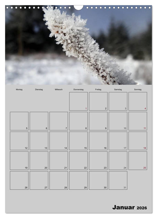 Zeitgewinn (Mein Terminplaner) (CALVENDO Wandkalender 2026)