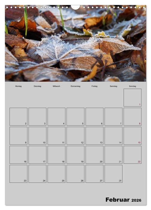 Zeitgewinn (Mein Terminplaner) (CALVENDO Wandkalender 2026)