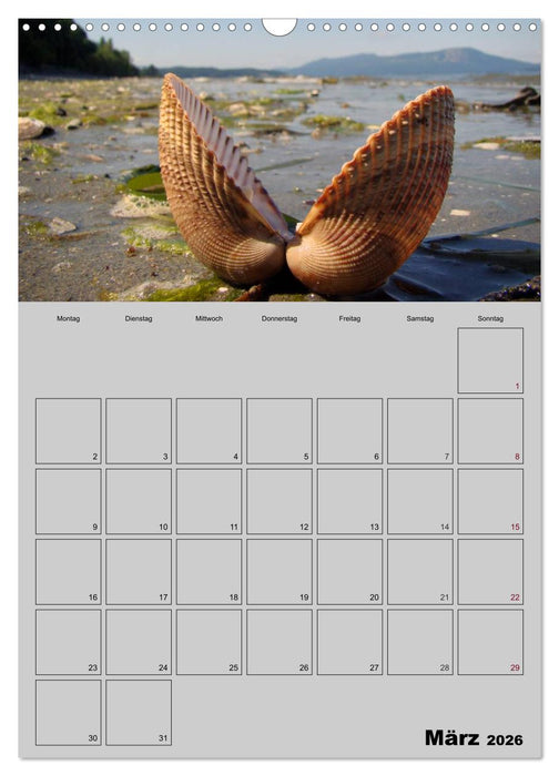 Zeitgewinn (Mein Terminplaner) (CALVENDO Wandkalender 2026)