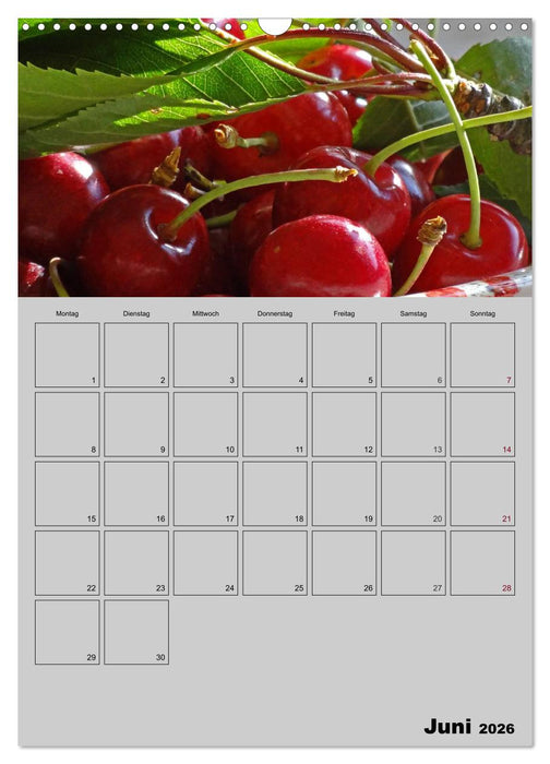 Zeitgewinn (Mein Terminplaner) (CALVENDO Wandkalender 2026)