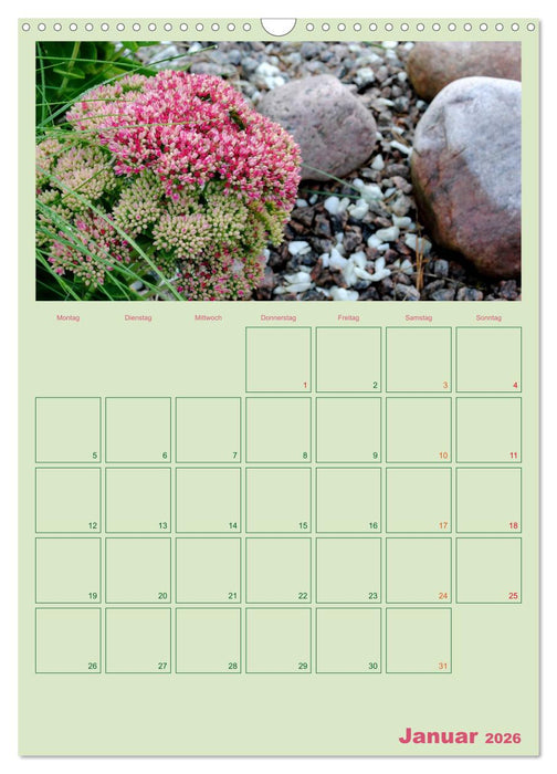Gartenplaner (CALVENDO Wandkalender 2026)