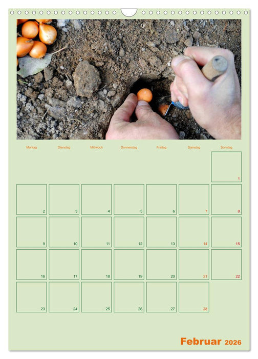 Gartenplaner (CALVENDO Wandkalender 2026)