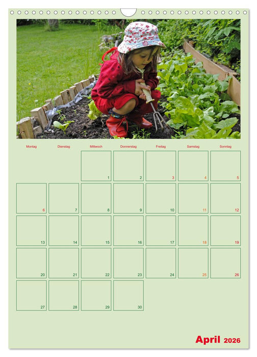Gartenplaner (CALVENDO Wandkalender 2026)