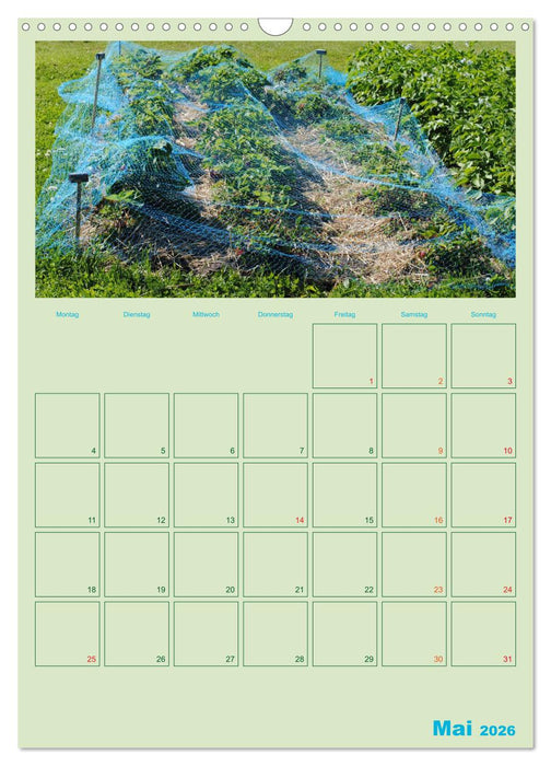 Gartenplaner (CALVENDO Wandkalender 2026)