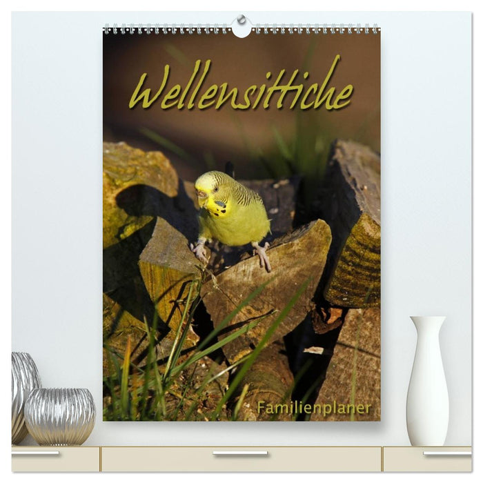 Wellensittiche (CALVENDO Premium Wandkalender 2026)
