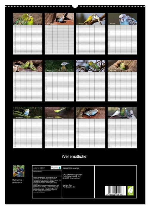 Wellensittiche (CALVENDO Premium Wandkalender 2026)