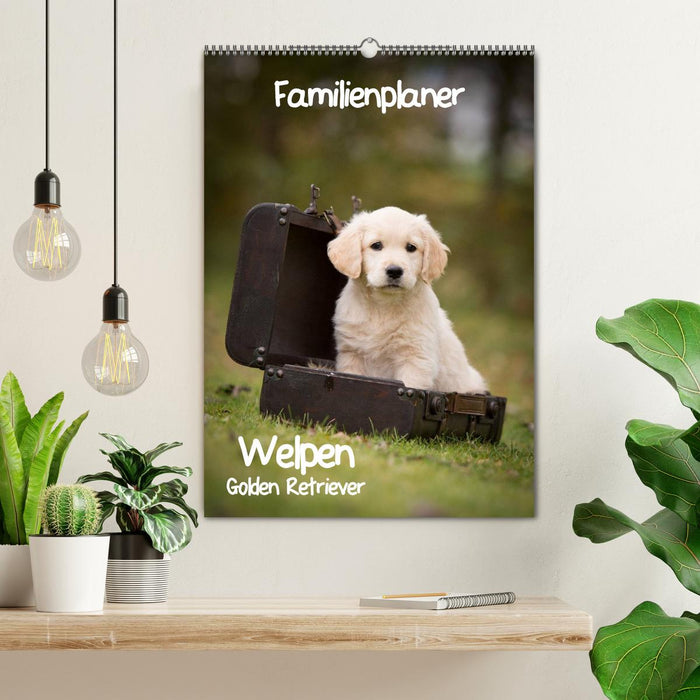 Familienplaner: Golden Retriever Welpen (CALVENDO Wandkalender 2026)
