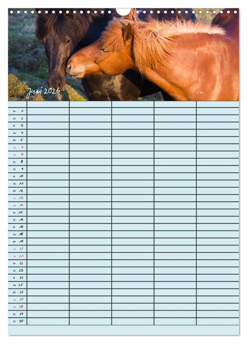 Island Familienplaner (CALVENDO Wandkalender 2026)