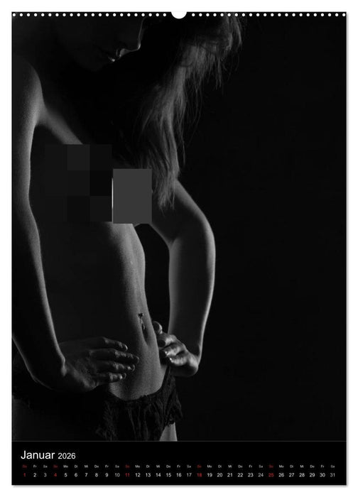 Erotische Silhouetten (CALVENDO Wandkalender 2026)