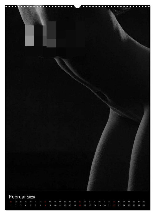 Erotische Silhouetten (CALVENDO Wandkalender 2026)