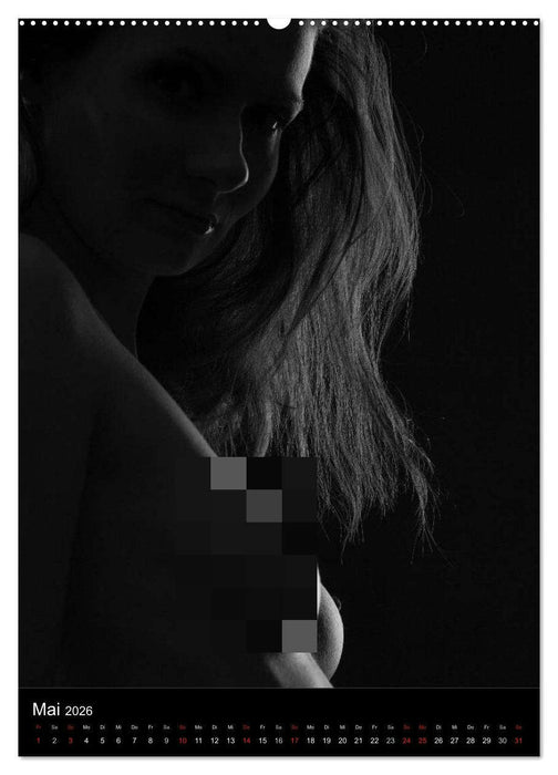 Erotische Silhouetten (CALVENDO Wandkalender 2026)