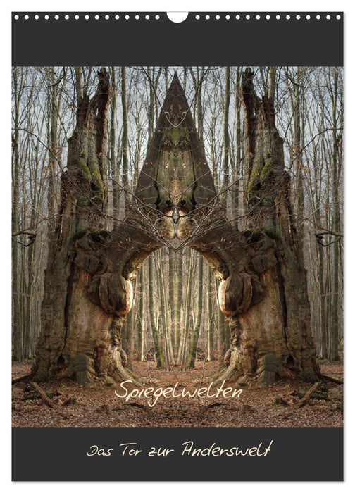 Spiegelwelten - Das Tor zur Anderswelt (CALVENDO Wandkalender 2026)