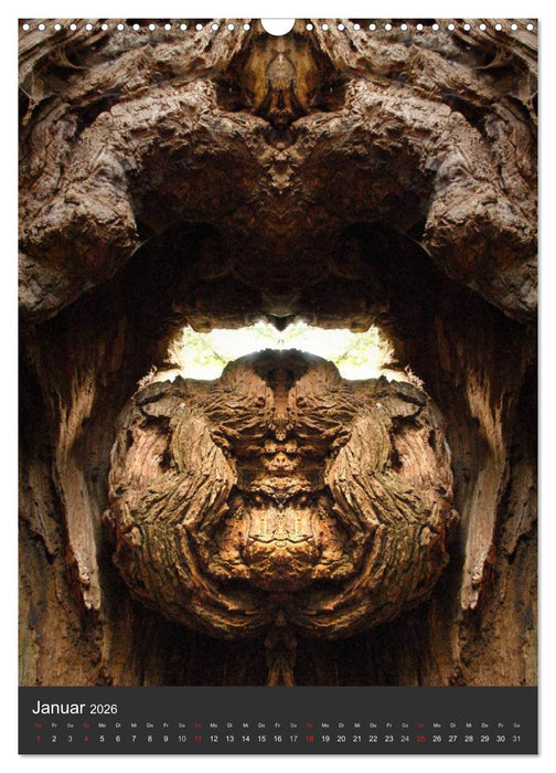 Spiegelwelten - Das Tor zur Anderswelt (CALVENDO Wandkalender 2026)