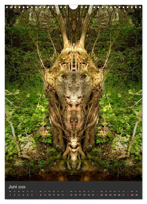 Spiegelwelten - Das Tor zur Anderswelt (CALVENDO Wandkalender 2026)