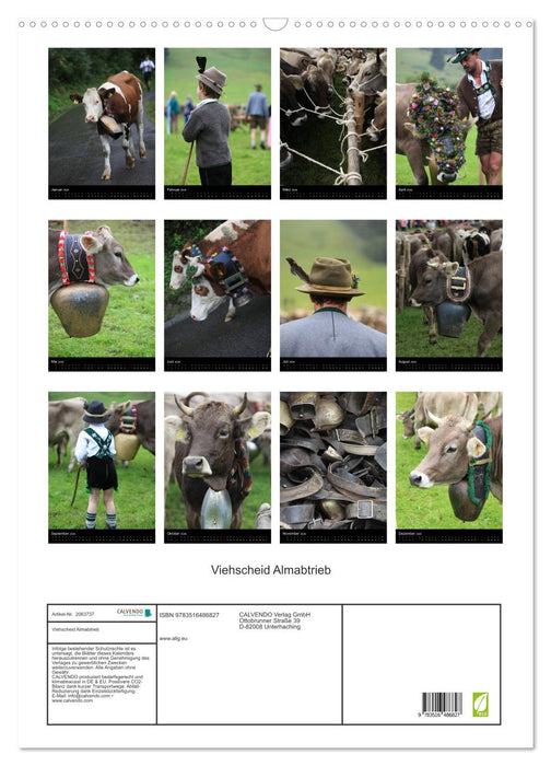 Viehscheid Almabtrieb (CALVENDO Wandkalender 2026)