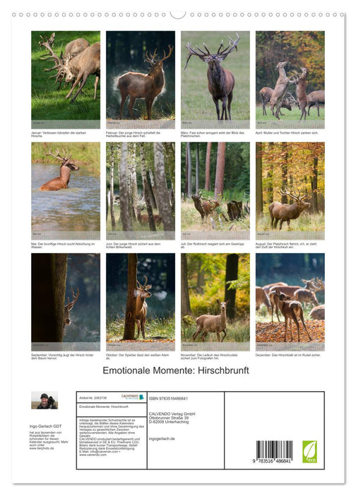 Emotionale Momente: Hirschbrunft (CALVENDO Premium Wandkalender 2026)