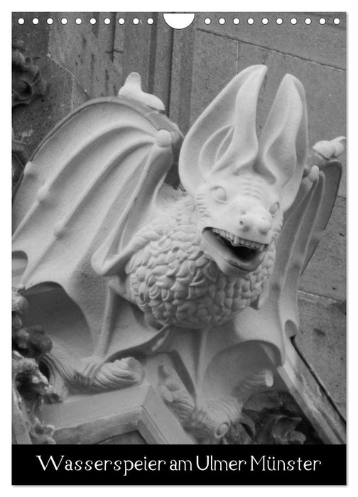 Wasserspeier am Ulmer Münster (CALVENDO Wandkalender 2026)