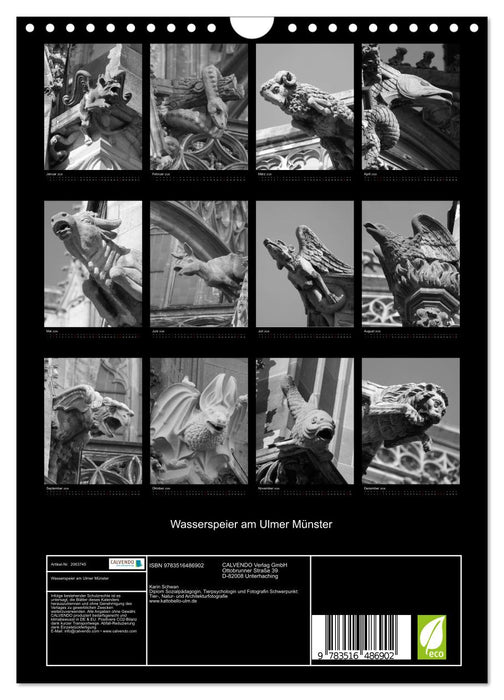 Wasserspeier am Ulmer Münster (CALVENDO Wandkalender 2026)