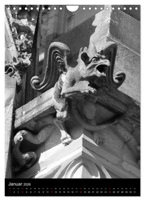 Wasserspeier am Ulmer Münster (CALVENDO Wandkalender 2026)