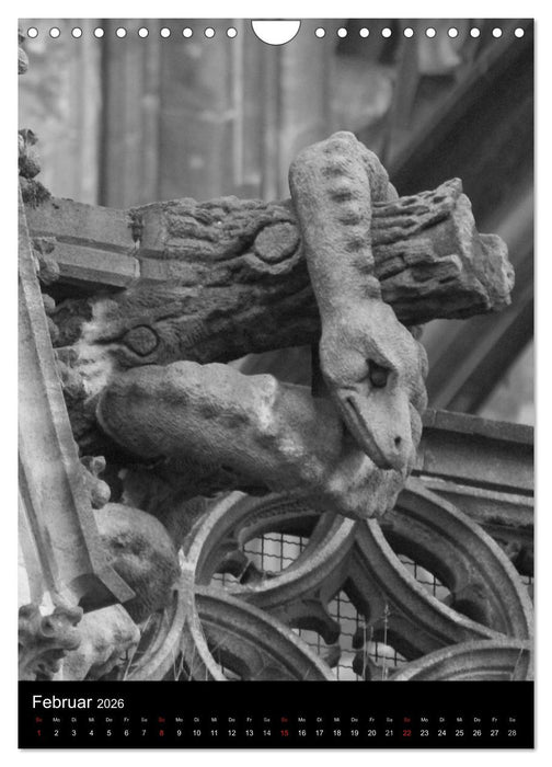 Wasserspeier am Ulmer Münster (CALVENDO Wandkalender 2026)