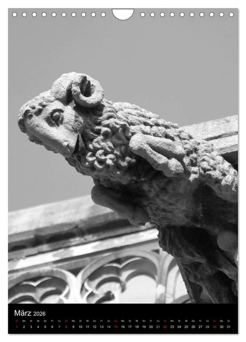 Wasserspeier am Ulmer Münster (CALVENDO Wandkalender 2026)