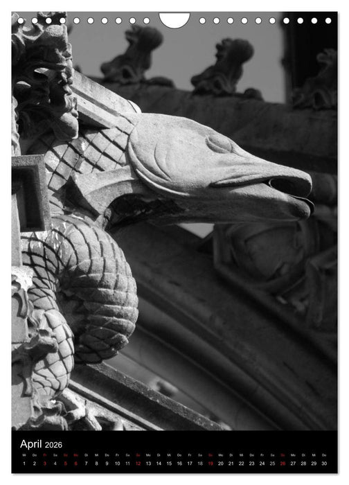 Wasserspeier am Ulmer Münster (CALVENDO Wandkalender 2026)