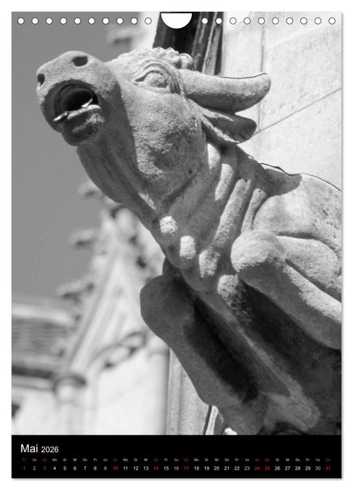 Wasserspeier am Ulmer Münster (CALVENDO Wandkalender 2026)