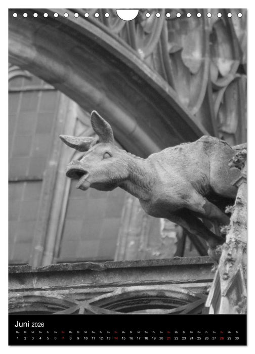 Wasserspeier am Ulmer Münster (CALVENDO Wandkalender 2026)