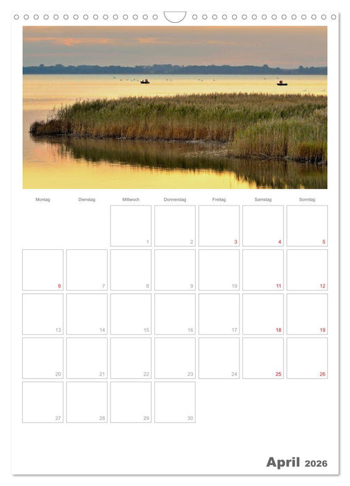 Insel Rügen / Planer (CALVENDO Wandkalender 2026)