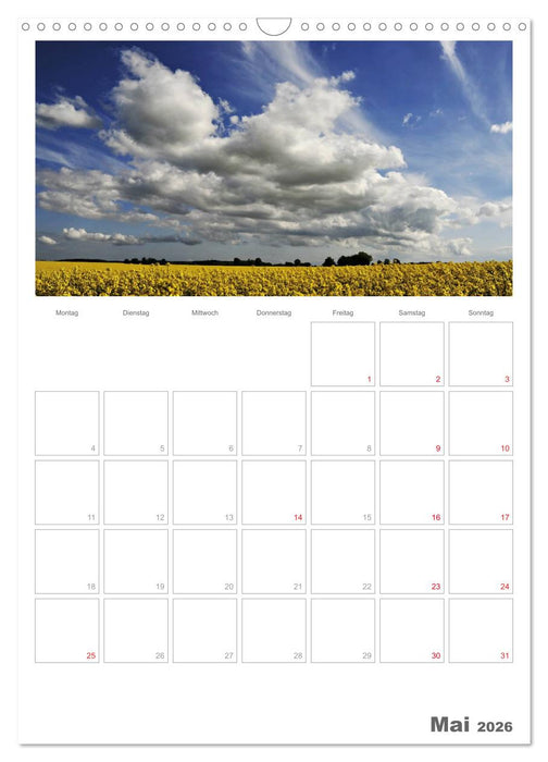 Insel Rügen / Planer (CALVENDO Wandkalender 2026)