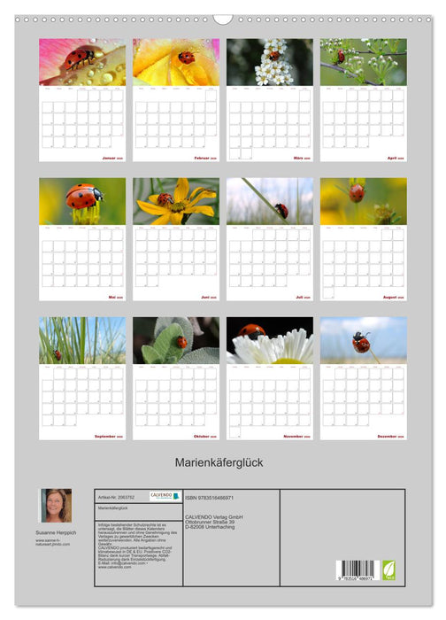 Marienkäferglück (CALVENDO Wandkalender 2026)