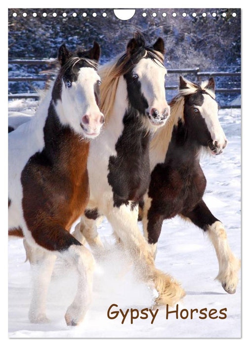 Gypsy's (CALVENDO Wandkalender 2026)