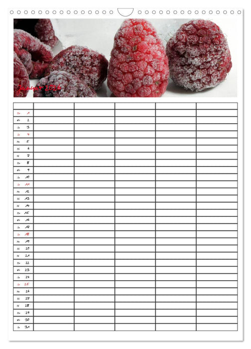 FOOD -Familienkalender (CALVENDO Wandkalender 2026)