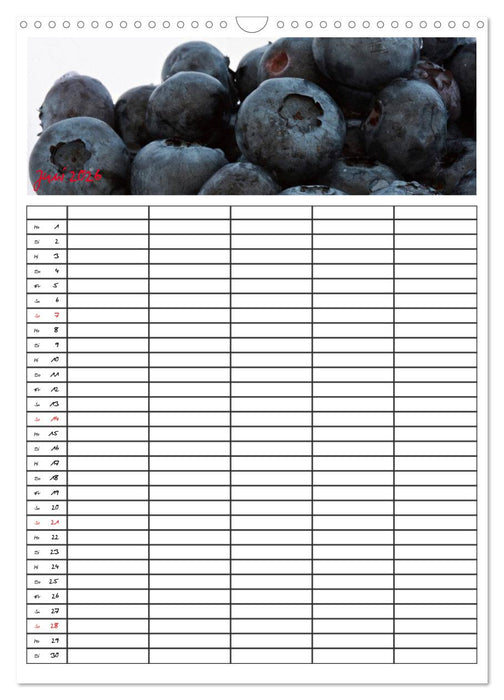 FOOD -Familienkalender (CALVENDO Wandkalender 2026)