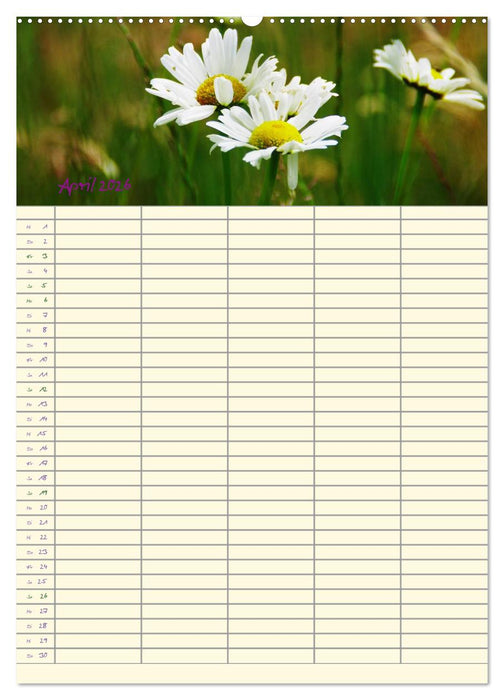 Der Naturgarten Familienplaner (CALVENDO Wandkalender 2026)