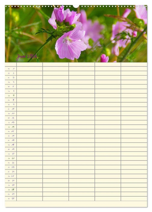 Der Naturgarten Familienplaner (CALVENDO Wandkalender 2026)