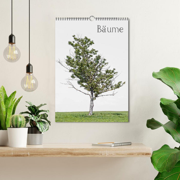Bäume (CALVENDO Wandkalender 2026)