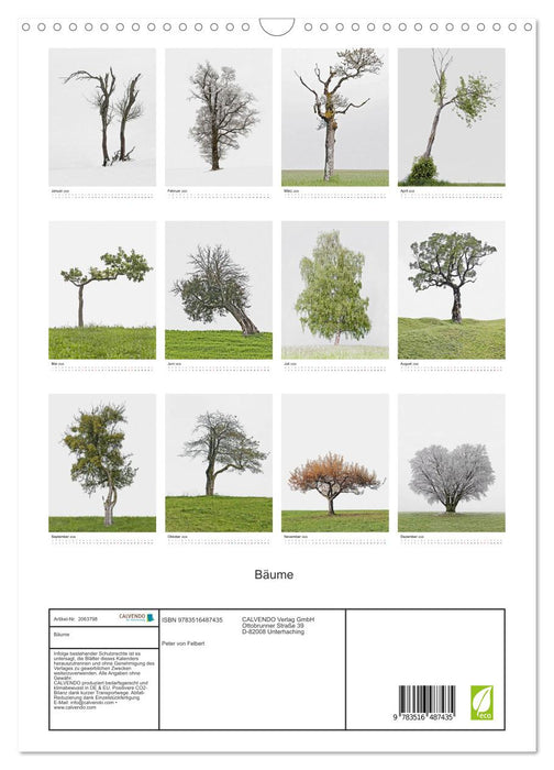 Bäume (CALVENDO Wandkalender 2026)