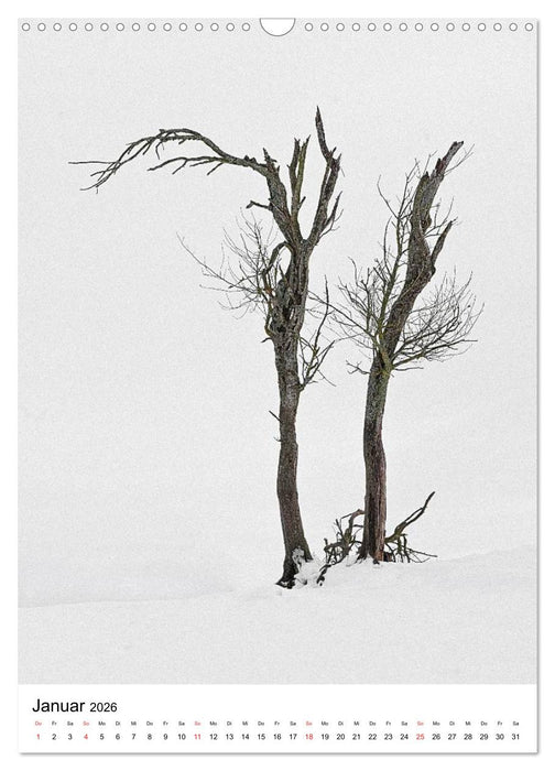 Bäume (CALVENDO Wandkalender 2026)